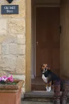 Old Mill Barn (2 Bedrooms) Grade II listed in the Cotswolds - 4-Star