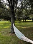 Pond Road Park - RaglanNewly open 2024 (Boats welcome)