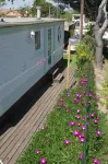 Mobil-home Bord de mer sur Terrain Privé - Bungalows