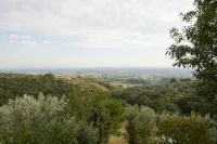 Villa Vestra in Vinci holiday home