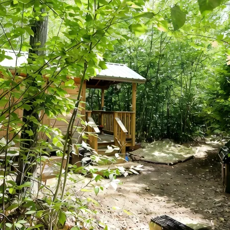 Tiny Cabin on 100 Acres Kayaks/Canoes/Paddleboards