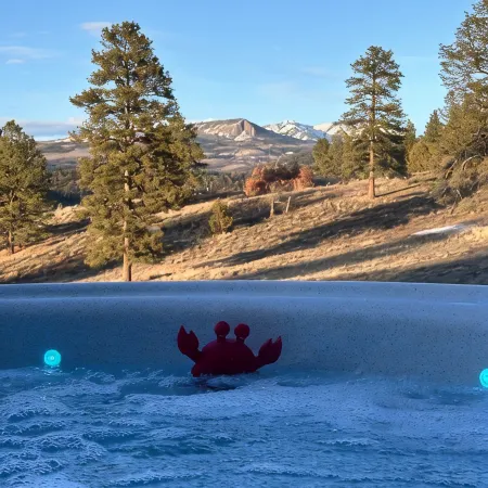 Lux Hot Tub Cabin. Huge Views! 35 Acres! Stargazing/Hiking Retreat! No Pet Fees!