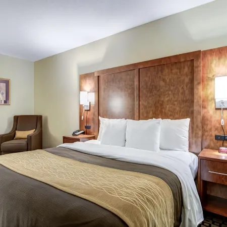 Comfort Inn & Suites Athens North