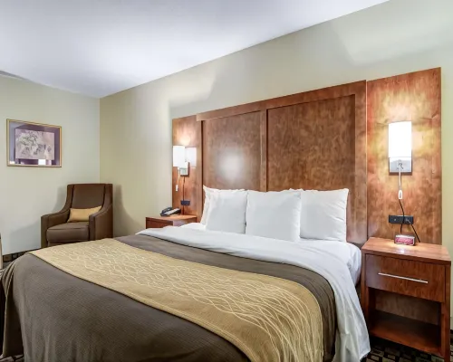 Comfort Inn & Suites Athens North Hotels in Athens
