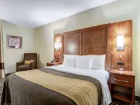 Comfort Inn & Suites Athens North - 2-Sterne
