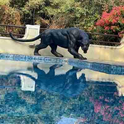 Irai Safari Retreat Fitness & Recreational Facilities