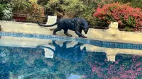 Irai Safari Retreat