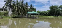 Mangrove Haven Resort - 2-Star