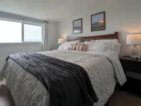 Oceanfront Home Views! Path to Beach! Dog Friendly! Great Outdoor Spaces-Updated Hotels in Grayland