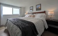 Oceanfront Home Views! Path to Beach! Dog Friendly! Great Outdoor Spaces-Updated - Homestays