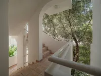 Mediterranean Guest House Balkan - Apartment