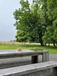 Cobblestone Cottage: Luxurious Boutique Retreat in the Countryside/Views/Firepit - 4つ星