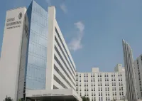 Hotel Andia - 4-Star