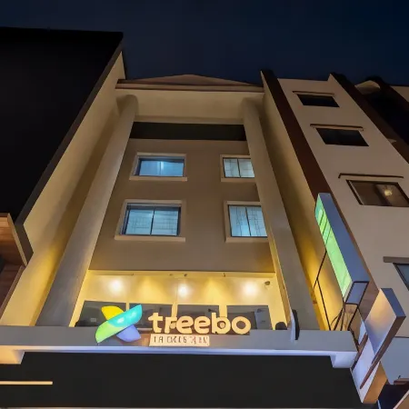 Treebo Green Olive