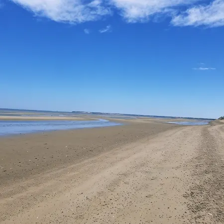 Bright, spacious, private beach home. Big backyard, firepit, deck. Family fave!