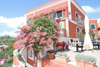 Hotel Villa Iulia