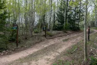 Beautiful, Cozy and Quiet Home Nestled in an Aspen Grove - Hytter
