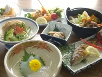 Healthy Misato - Pet Friendly