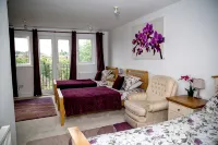 Bay Tree House Bed & Breakfast - Bed and Breakfast