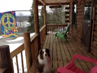 SPRING IN THE GREEN MOUNTAINS/PET FRIENDLY-WOOF - Alphydda