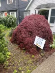 Cozy 1 bedroom apartment in Enjoyable Ketchikan with WiFi. - WiFi