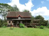 Castle Forest Lodge - Wifi