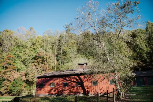 Real Log Cabin + 34 acres + Creek + Barn + Easy Access + Nantahala Forest! - 4-Sterne