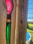 Private Finger Lakes Getaway with a Pool, Hot Tub, and Sauna, Timber Frame Porch - Pools