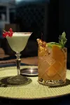 Hotel le Fioriere - Bar