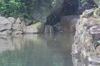 The Glenrock Wellness Nature Resort - Pools