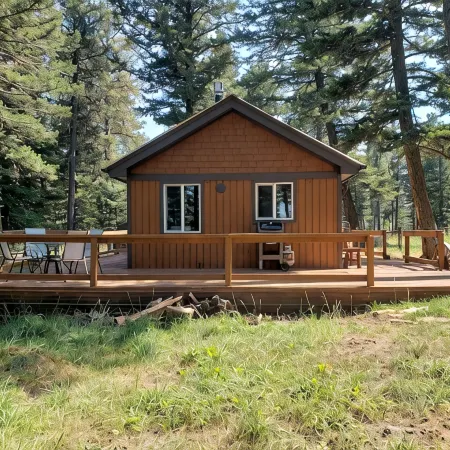 Remote cabin on 40 acres with wildlife and no distractions.