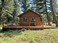 Remote cabin on 40 acres with wildlife and no distractions. - 2つ星