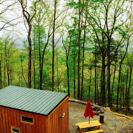 Moonshine Cabin Tucked Away on the Mountain,Great Location with Wellness Area!