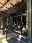 Subtropica Premium Suites - Mindo - con vista montagne