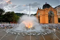 Orea Spa Hotel Cristal - Afhentnings-/afleveringstjenester
