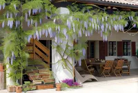 B&B Ca' Cinel Asolo - Wifi