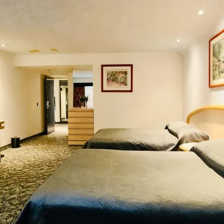 Hotel Altum Business