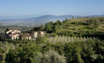 Villa Giorgia Albergo in Collina