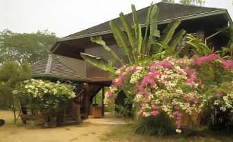 Bed & Breakfast Chiang Rai