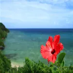 Wind Makiminato Hotels in Urasoe