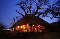 Elewana Tarangire Treetops Hôtels à : Monduli