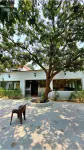 The Greenwich Resort Hotels near prachin shiv mandir