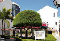 Apartamentos HG Cristian Sur Hotels in Los Cristianos