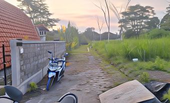 4. Green Pa..