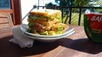 Sewana Guest Inn Hotels in Buttala