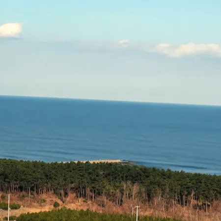 Grand View Ichinomiya