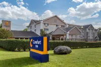 Comfort Inn Hotels in Griswold