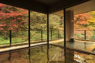 ジュニアスイート(畳スペース付) 時音の宿 湯主一條の写真