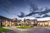 Best Western Plus Edmonton Airport Hotel - bar