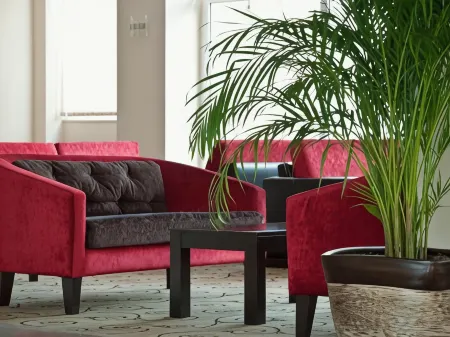 White Lilyum Hotel - All Inclusive Отели в г. Кемер